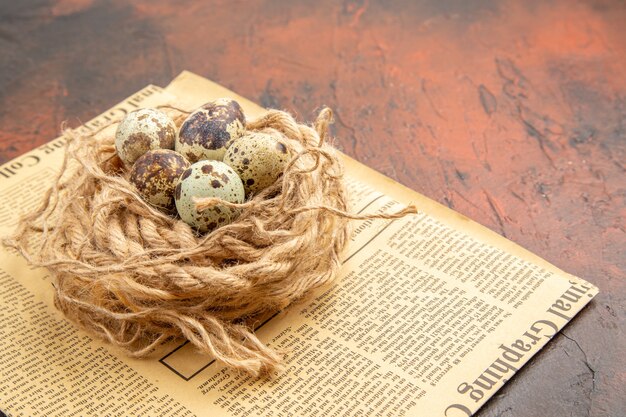 Side view of farm fresh eggs on a roll of rope on an old newspaper on a brown background