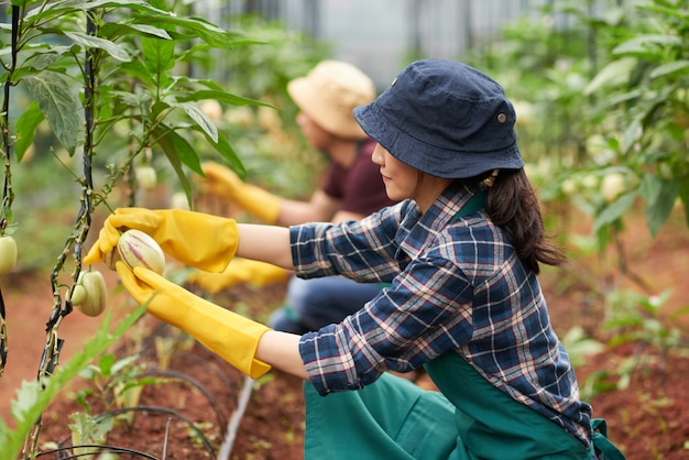 植物にひざまずく女性農学者の側面図