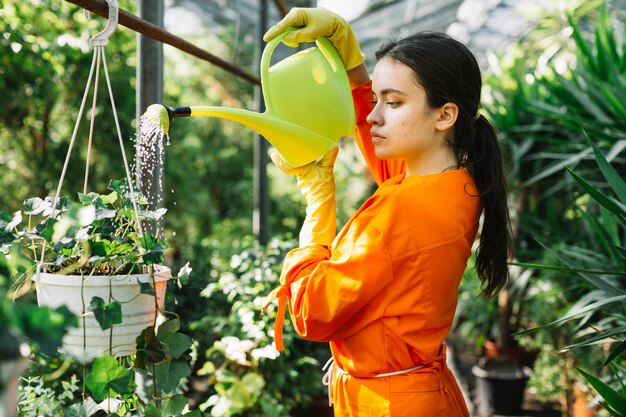 Side view of a female gardener watering potted plant in greenhouse