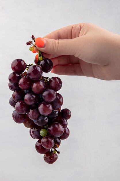 Вид сбоку женской руки, держащей гроздь черного винограда на белом фоне