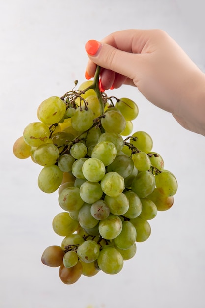 Side view of female hand holding bunch of white grape on white background