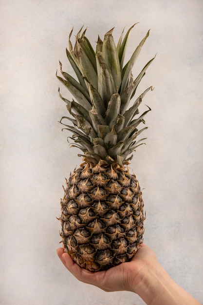 Side view of female hand holding fresh pineapple on a grey wall