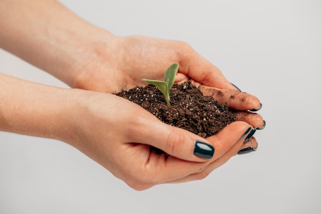 Вид сбоку на женские руки, держащие почву и небольшое растение