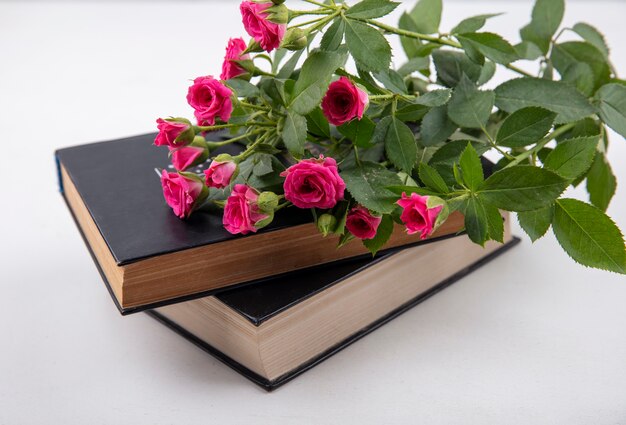 白い背景の上の閉じた本の花の側面図