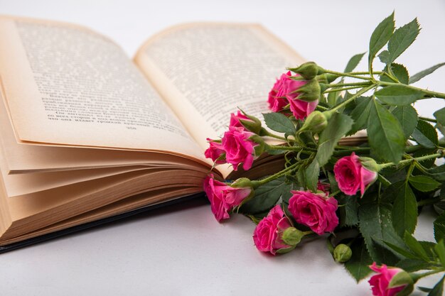 Side view of flowers with open book on white background