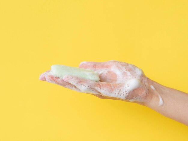 石鹸を持っている泡立った手の側面図