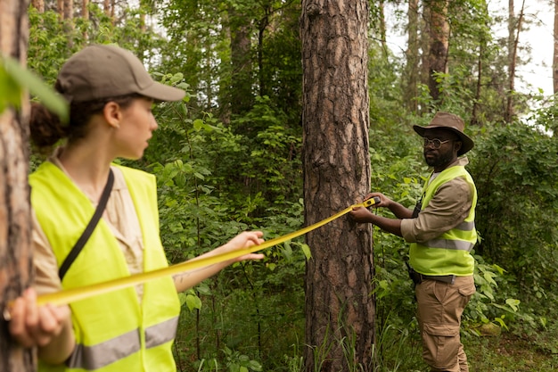 Free photo side view forest wardens measuring distance