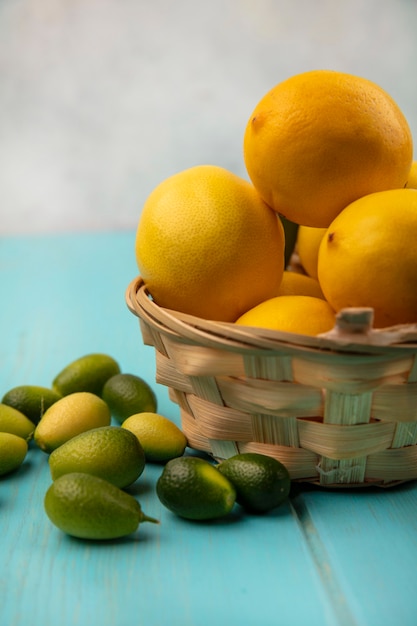Side view of fresh lemons on a bucket with kinkans isolated on a blue wooden wall