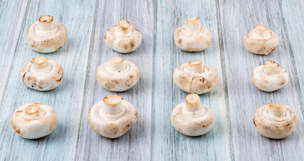 Free photo side view of fresh mushrooms champignon isolated on white wooden background