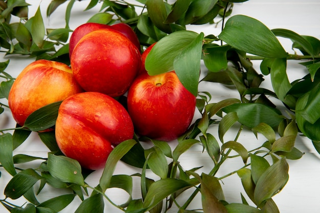 Side view of fresh ripe nectarines with green leaves on white