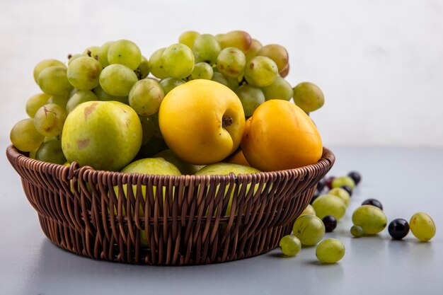 회색 표면과 흰색 배경에 바구니와 포도 열매에 포도 nectacots 녹색 pluots로 과일의 측면보기