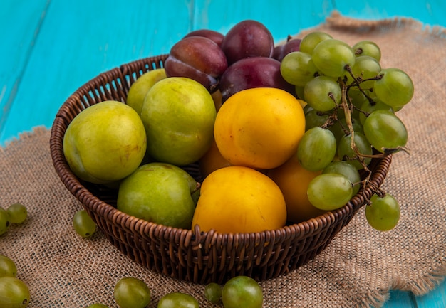 Side view of fruits as grape pluots nectacots in basket and grape berries on plaid cloth on blue background