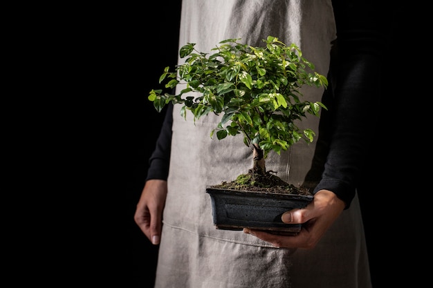 鉢植えの植物を保持している側面図庭師