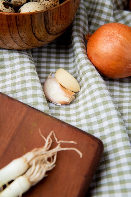 Free photo side view of garlic cloves with onion on plaid cloth surface