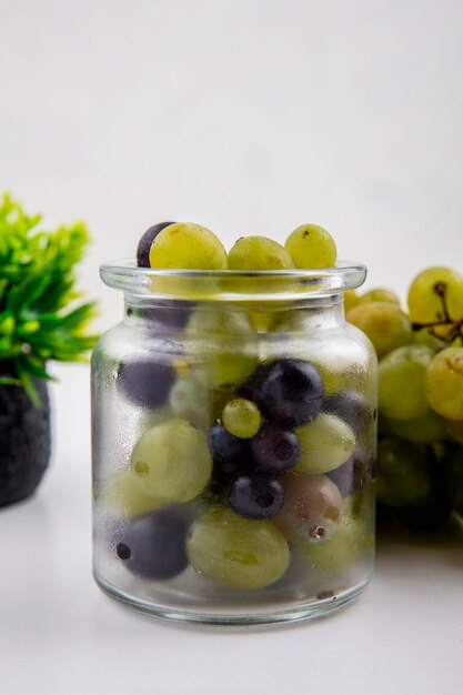 Side view of grape berries in jar with grape and plant on white background