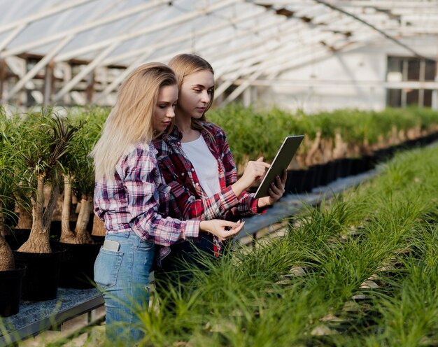 Side view greenhouse female workers