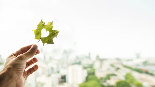 Free photo side view hand holding leaf with heart shape