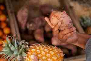 Free photo side view hands holding fruits