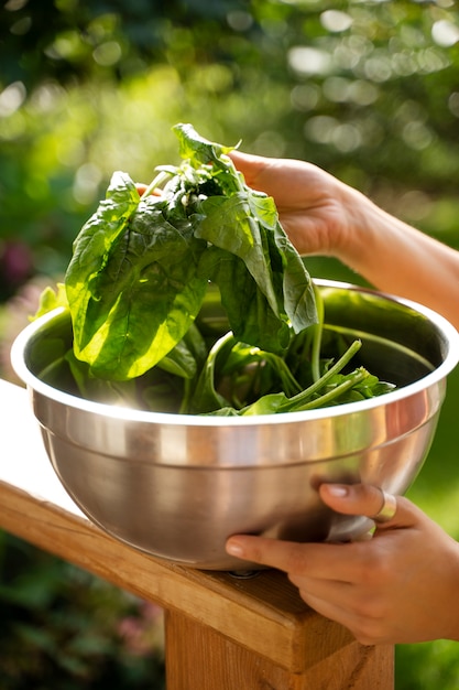 Free photo side view hands holding salad bowl