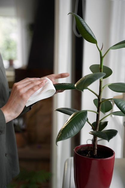 Free photo side view hands wiping leaves