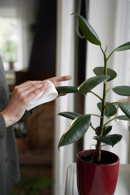 Side view hands wiping leaves