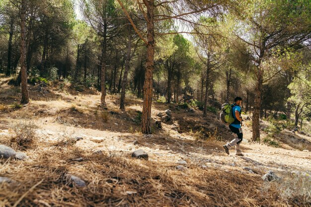 Side view of hiker walking in forest