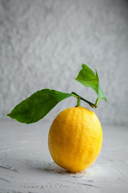 Side view lemon with leaves on white textured background. vertical space for text