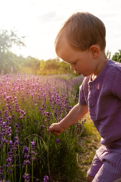 Free photo side view little kid in lavender field