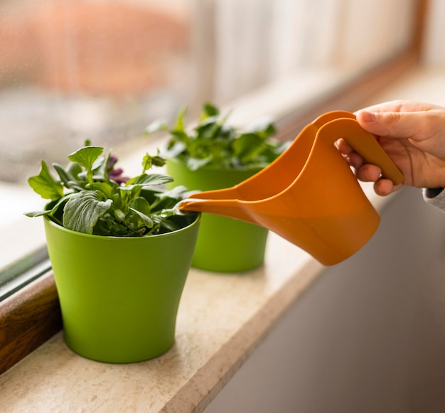 Side view of little kid watering plants