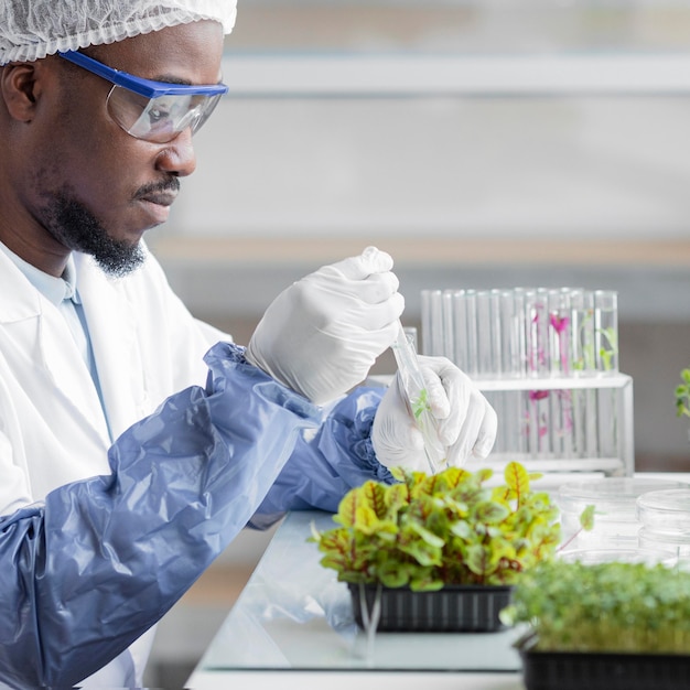 Side view of male researcher in the biotechnology laboratory with plant