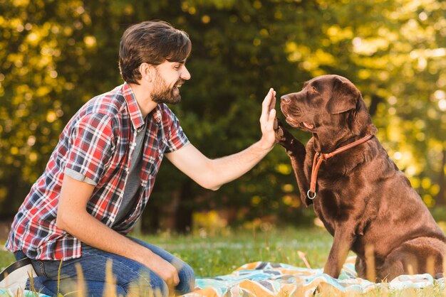 Side view of a man giving high five to his dog in garden