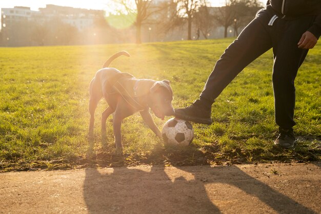 屋外で犬と遊ぶサイドビュー男