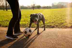 Free photo side view man playing with dog outdoors