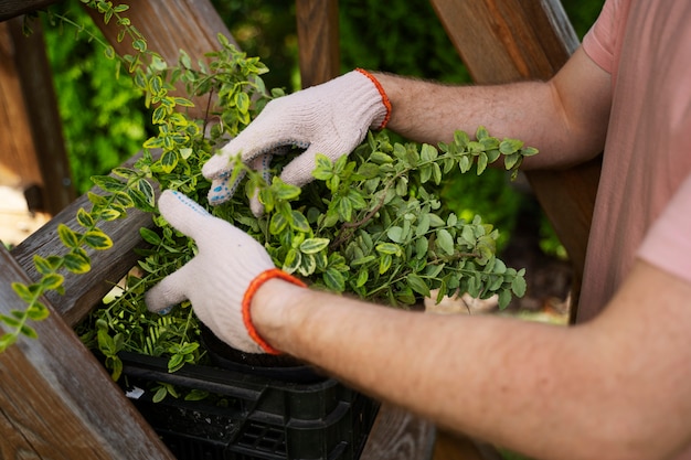 Side view man taking care of plant