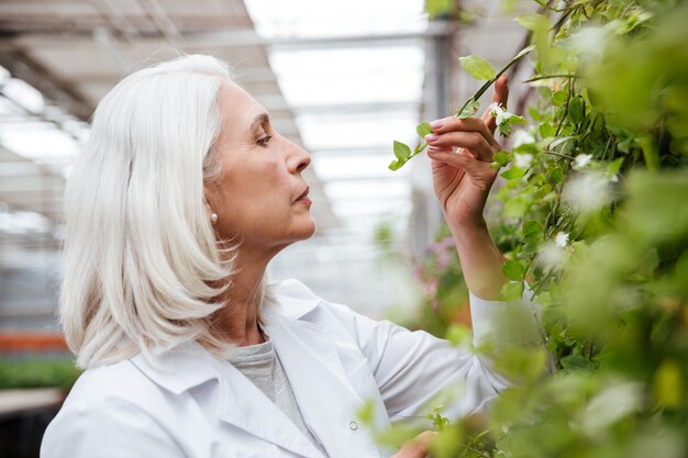 Side view of mature woman working in greenhouse