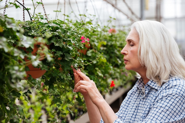 Side view of mature woman working in greenhouse