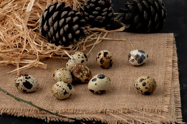 Side view of mini eggs with pine cone and straw on sackcloth surface