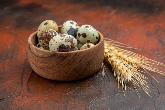 茶色の背景の植木鉢で農場の新鮮な卵の側面図 無料写真