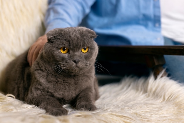 Free photo side view old man petting cat