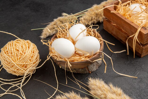 Side view of organic eggs in a brown pot rope spike on dark background