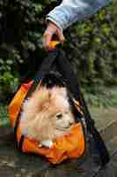 Free photo side view owner holding bag with dog