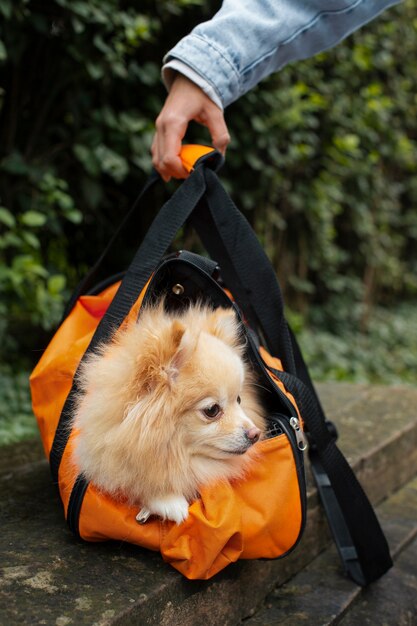 Владелец, вид сбоку, держит сумку с собакой