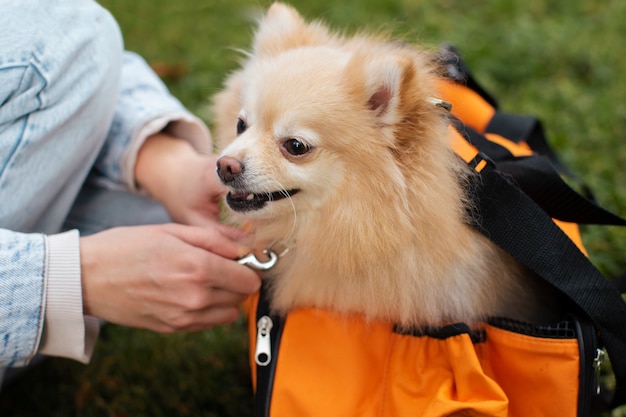 Foto gratuita proprietario di vista laterale con cane carino all'aperto