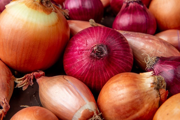 Side view of pattern of different types of onions