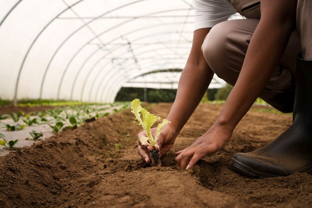 Side view peasant hands gardening