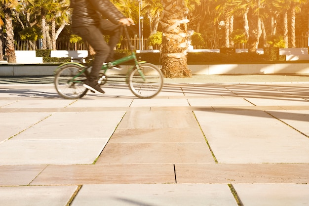Side view of a person riding the bicycle in the park