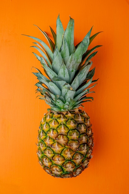 Side view of pineapple on orange surface