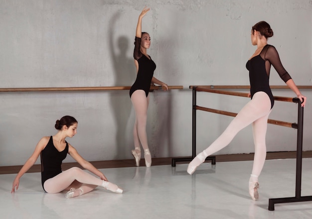 Side view of professional ballerinas training together with leotards and pointe shoes