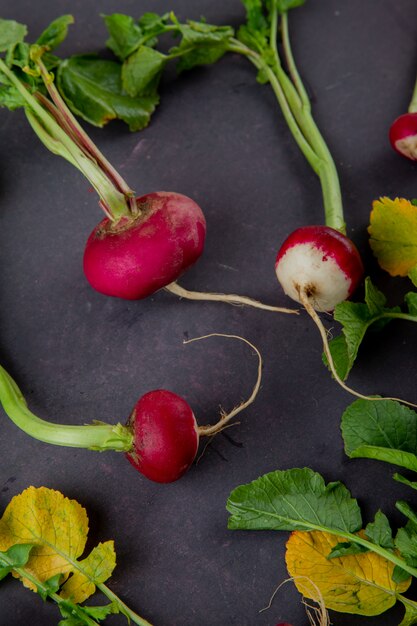 Side view of radishes on maroon background