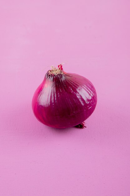 Side view of red onion on purple background with copy space